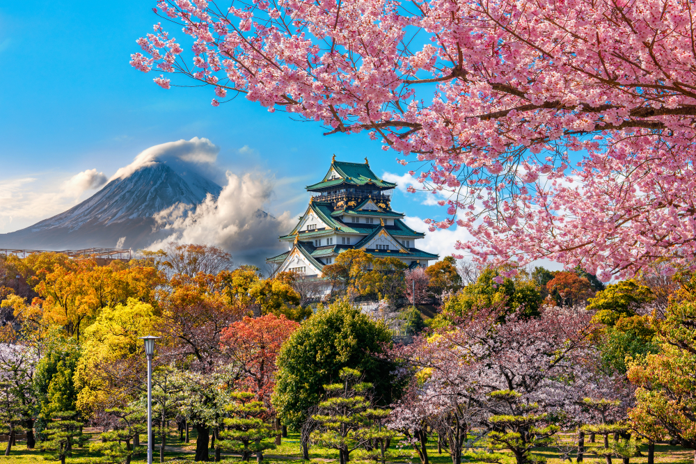 5-Day Tokyo Itinerary for First-Time Visitors