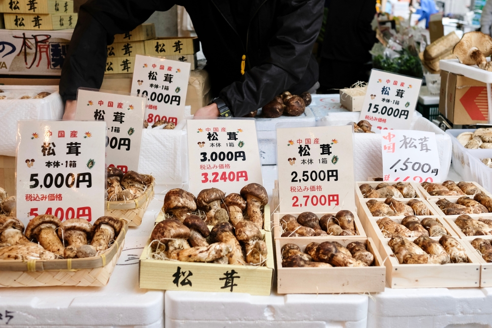 Tokyo Tsukiji Outer Market Top 10 things to do in Tokyo